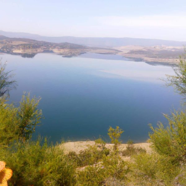 Ruyada Disin Kirildigini Gormek