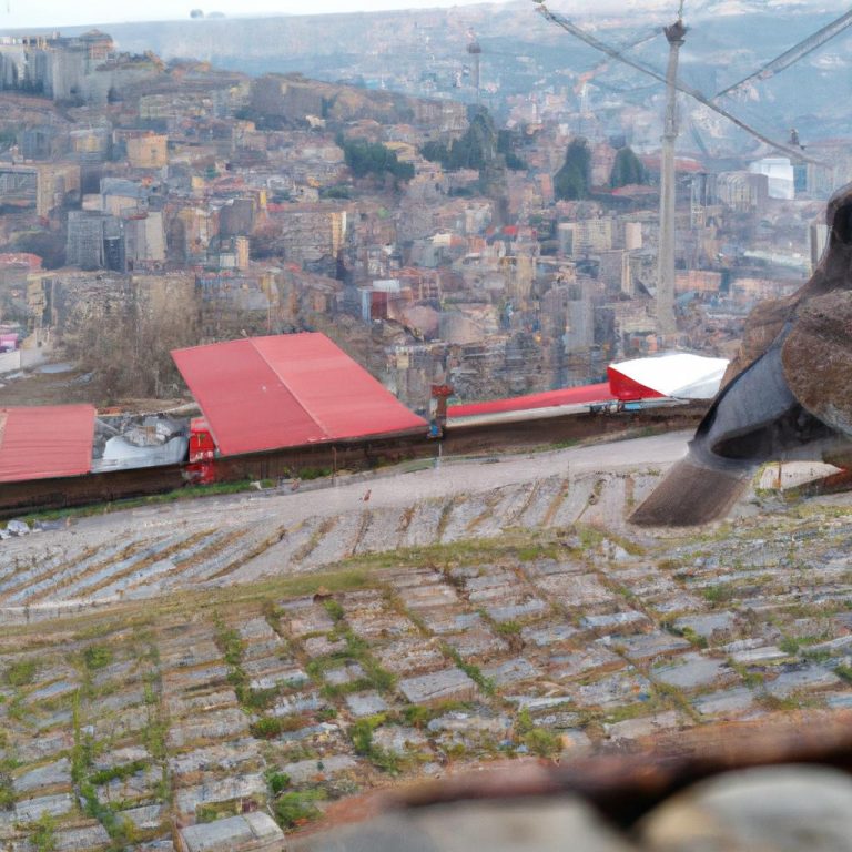 Ruyada Disini Gormek