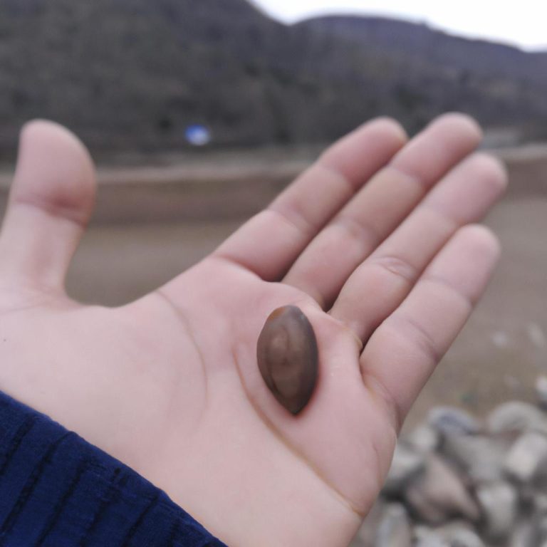 Ruyada Disinin Dokuldugunu Gormek