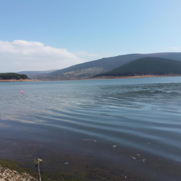 Ruyada Dolmus Surmek