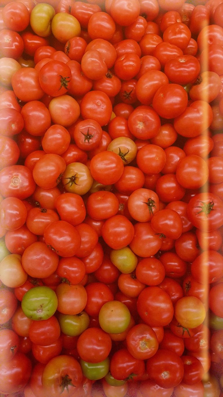 Rüyada Domates Görmek