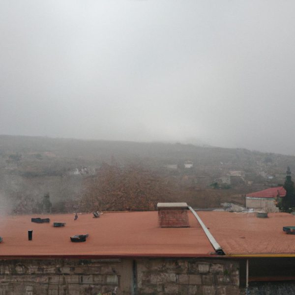 Ruyada Domuz Kovalamasi