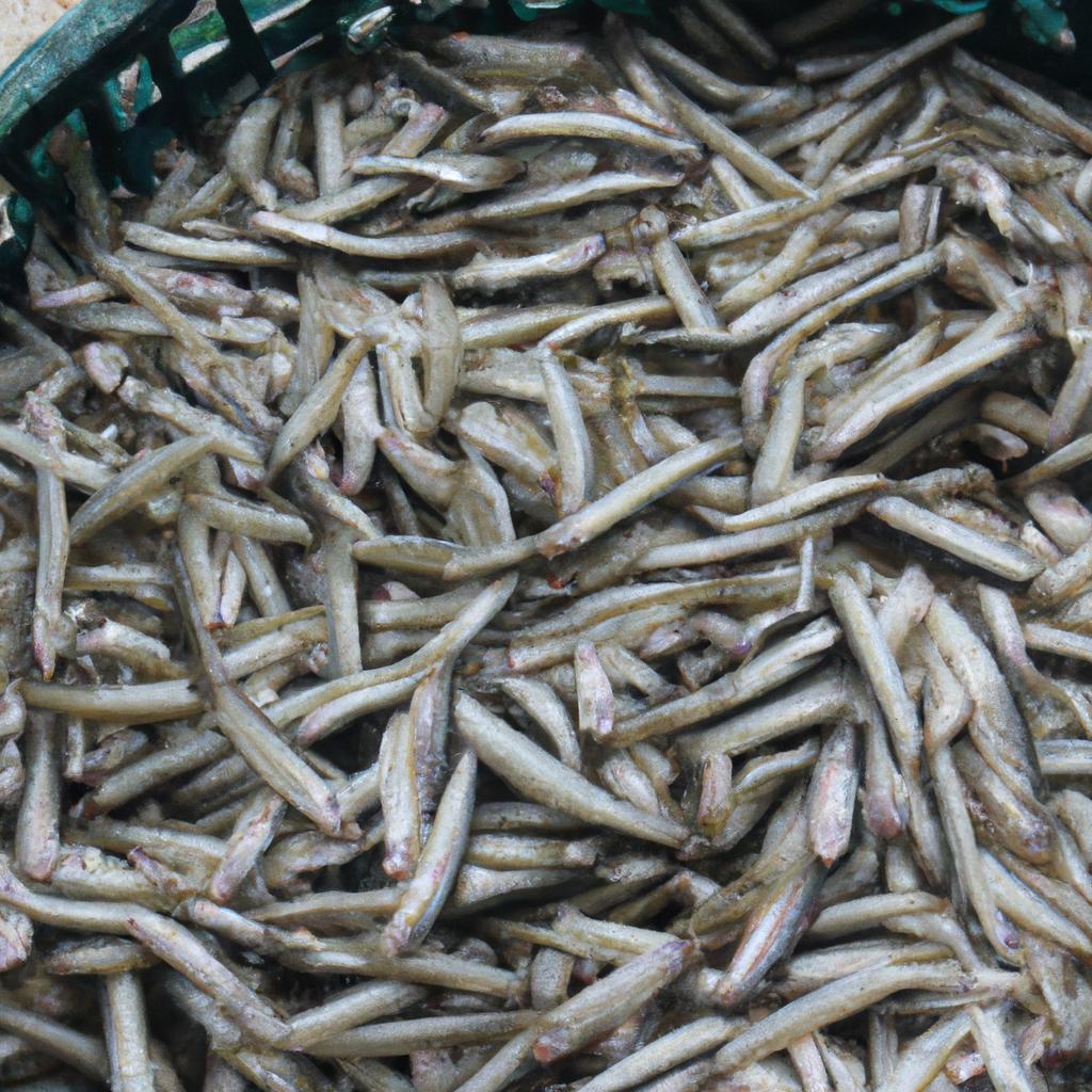 Ruyada Donmus Balik Gormek