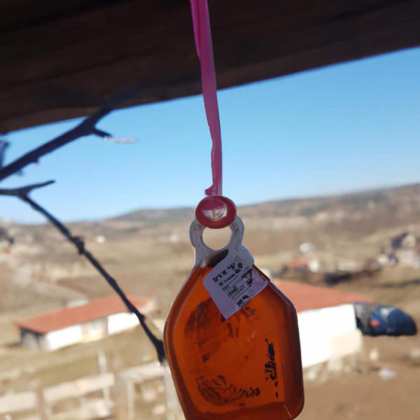 Ruyada Dusmanla Kavga Etmek