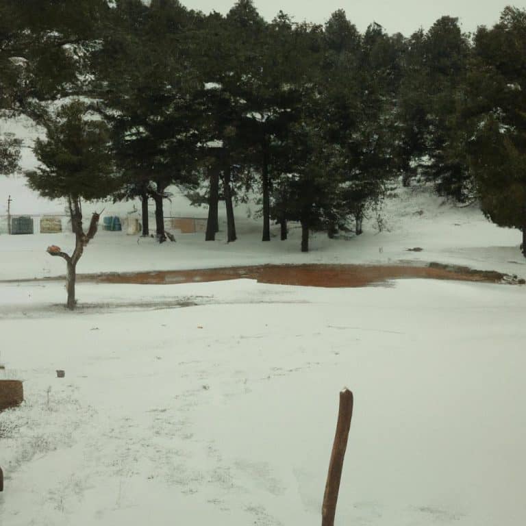 Ruyada Ejderha Gormek