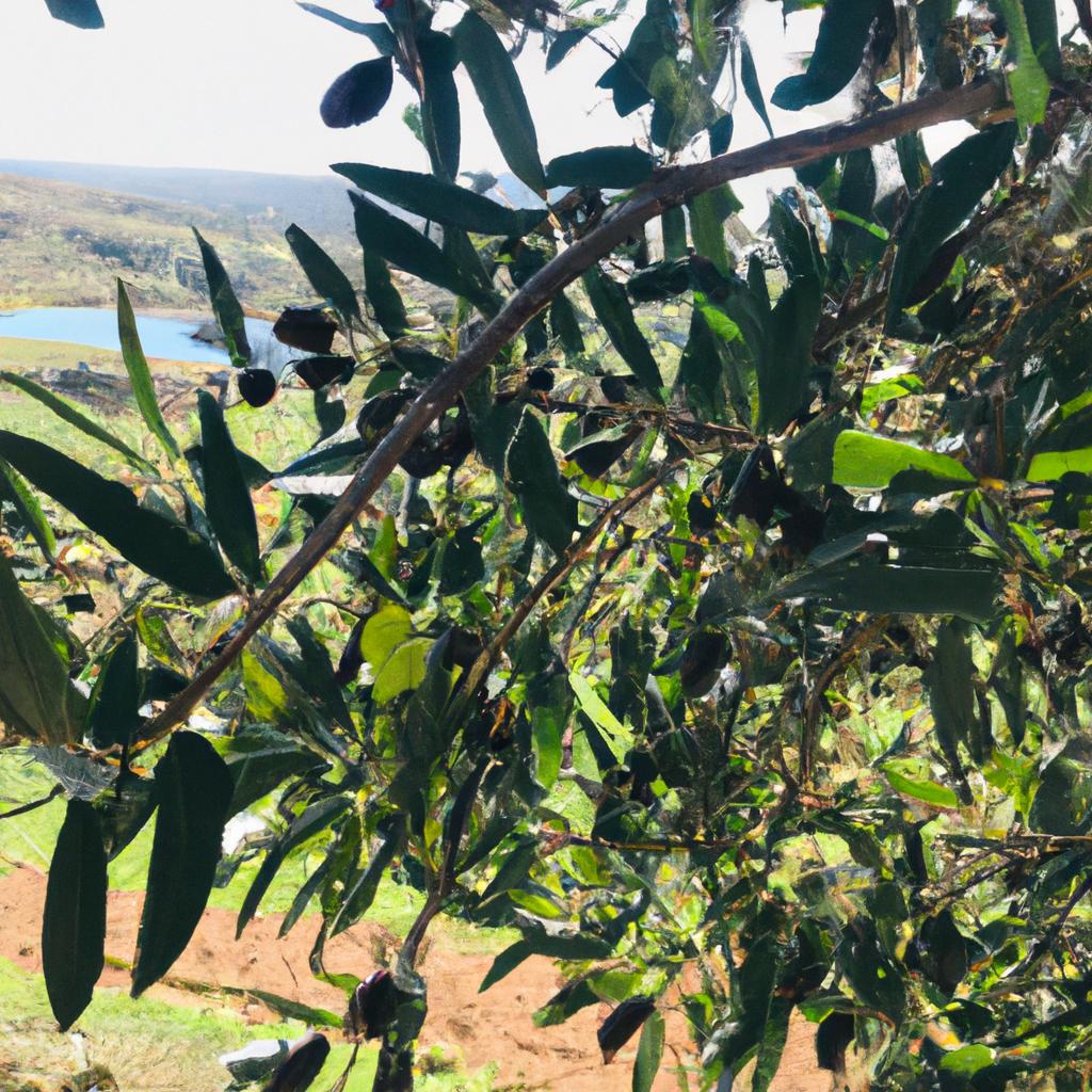 Ruyada Elini Yikamak