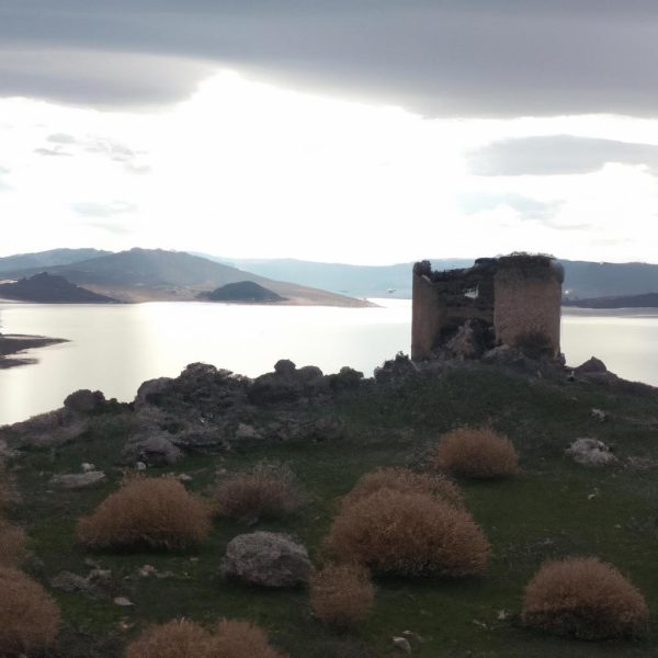 Ruyada Elinin Kesilmesi