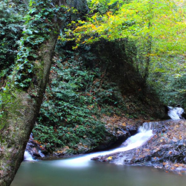 Ruyada Elleri Yikamak