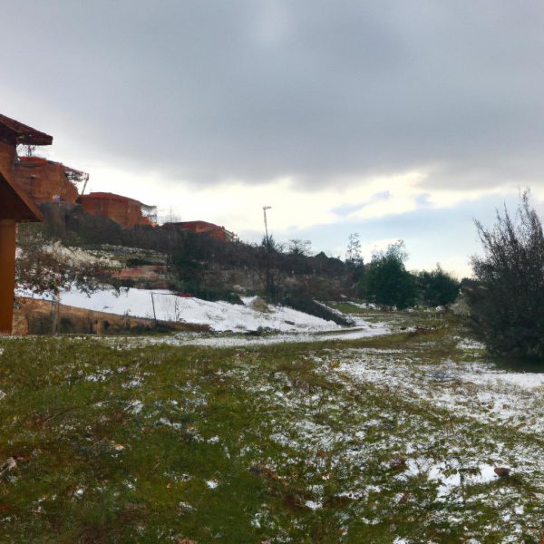 Ruyada Eltiyi Gormek