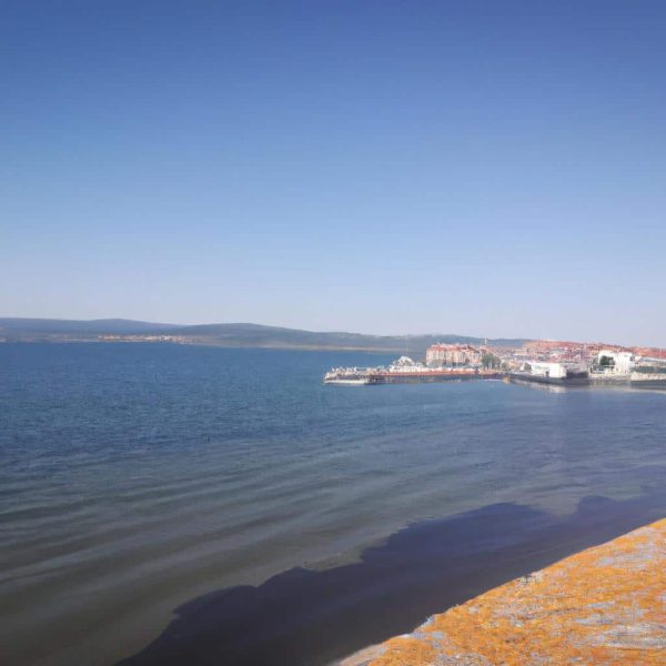 Ruyada En Yakin Arkadasinin Oldugunu Gormek