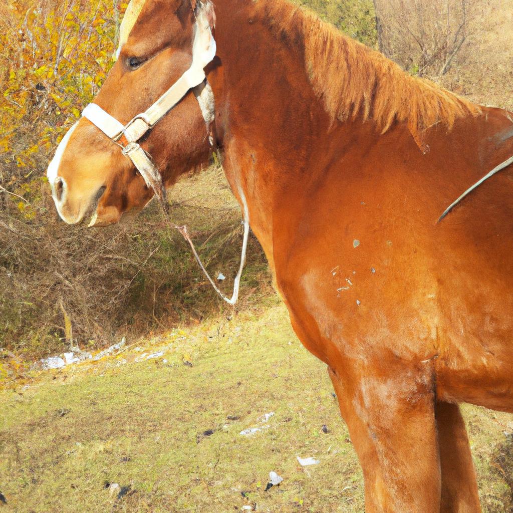 Ruyada Erkek Yegenini Gormek