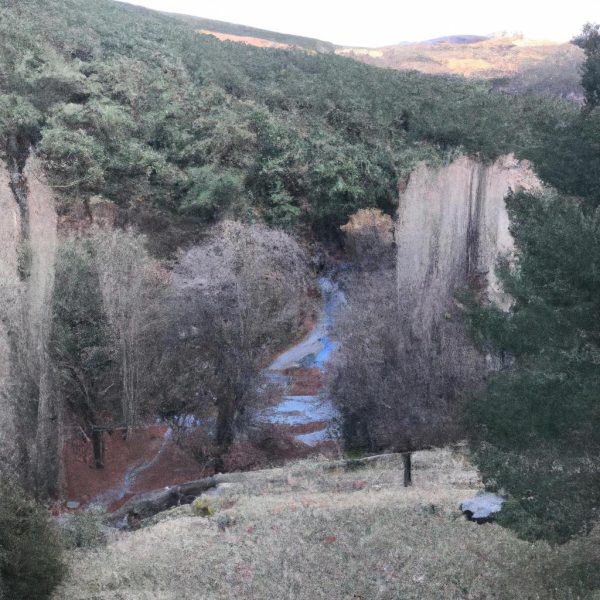 Ruyada Erkeklik Organi Gormek