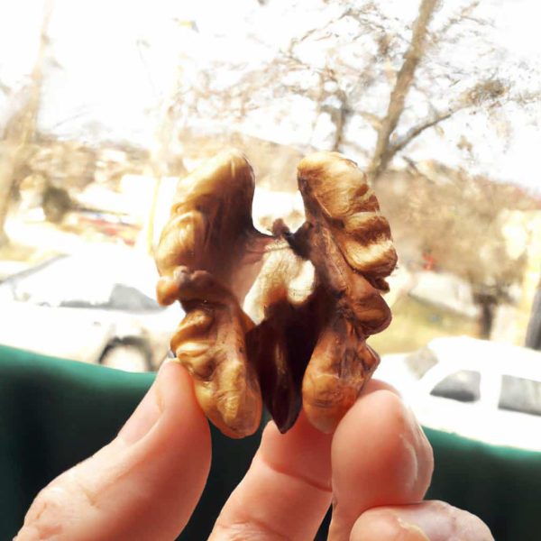 Ruyada Erkeklik Organinin Buyudugunu Gormek