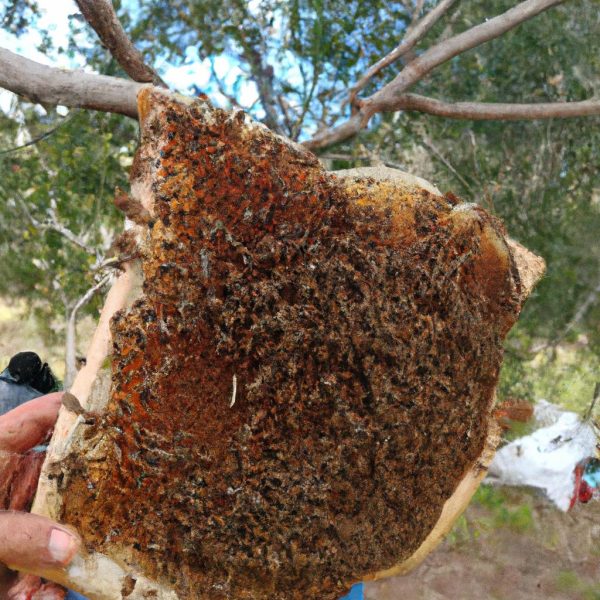 Ruyada Esek Arisi Sokmasi