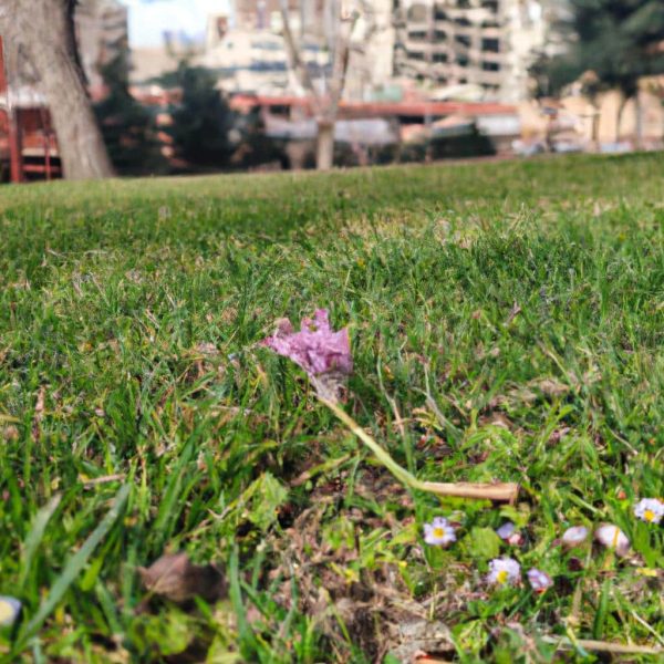 Ruyada Esek Gormek Ne Anlama Gelir