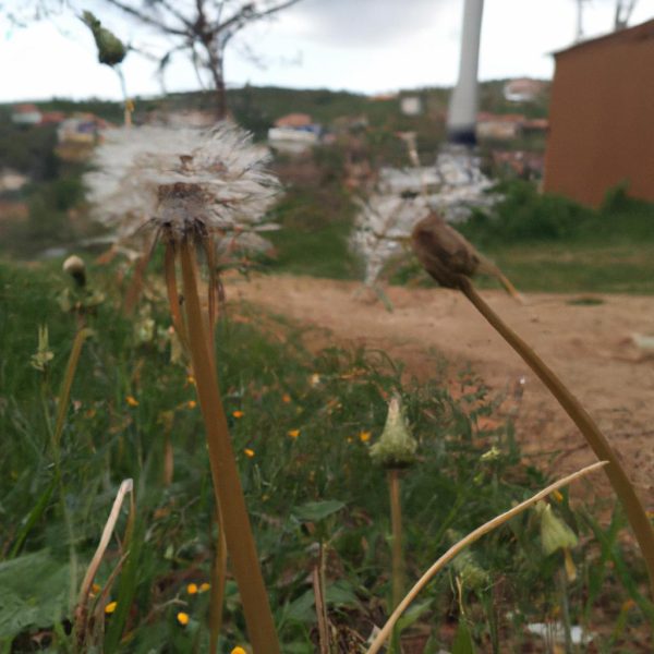 Ruyada Esek Sipasi Gormek
