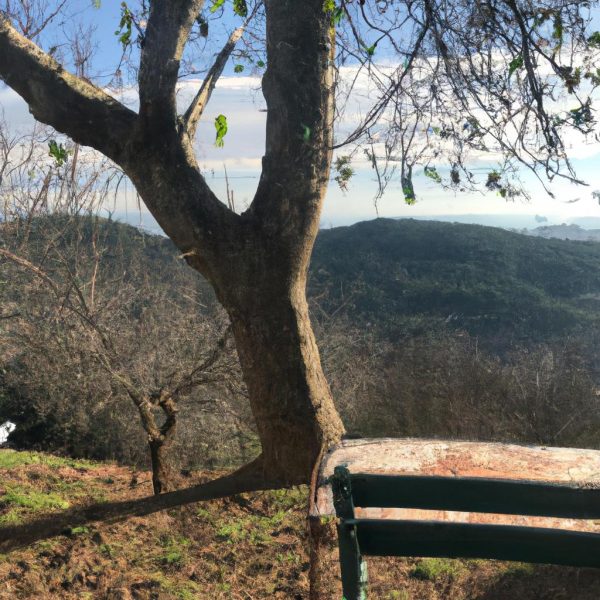 Ruyada Esimin Beni Aldatmasi