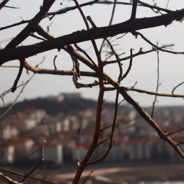 Ruyada Esinden Ayrildigini Gormek