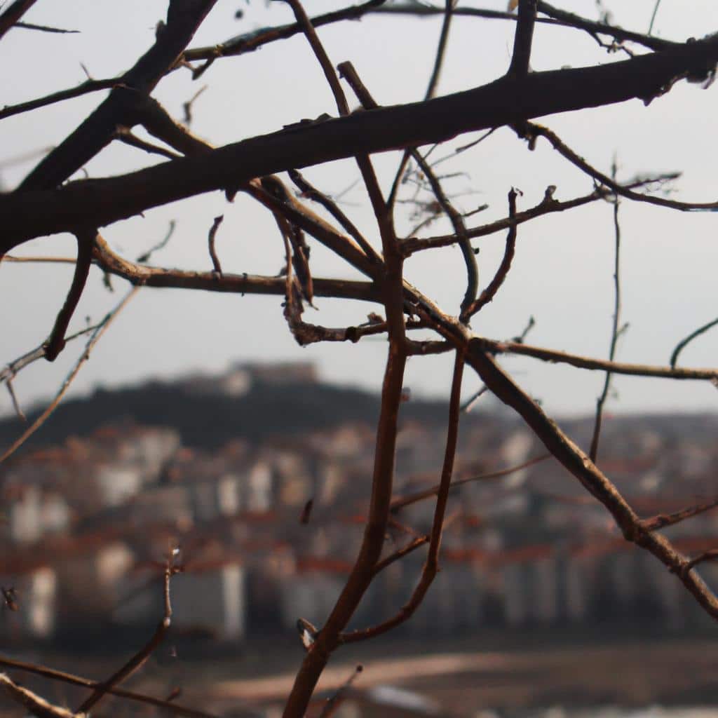 Ruyada Esinden Ayrildigini Gormek