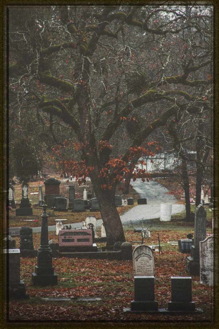 Rüyada Eşinin Öldüğünü Görmek Diyadinnet