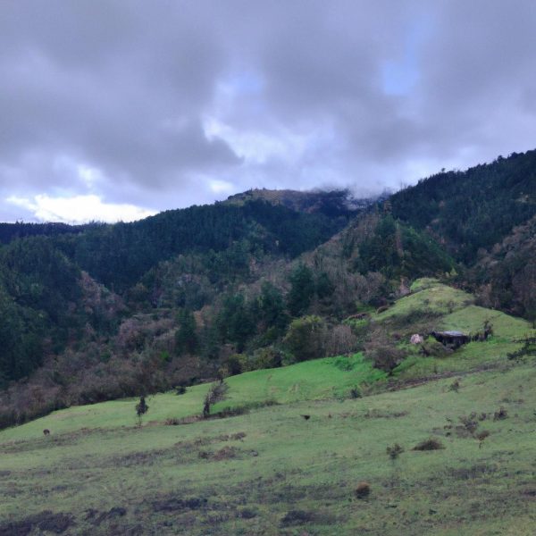 Ruyada Esiyle Cinsel Iliskiye Girmek