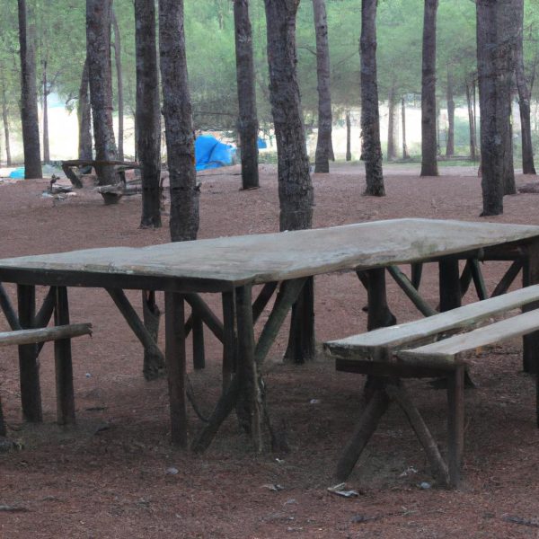 Ruyada Esiyle Kavga Etmek