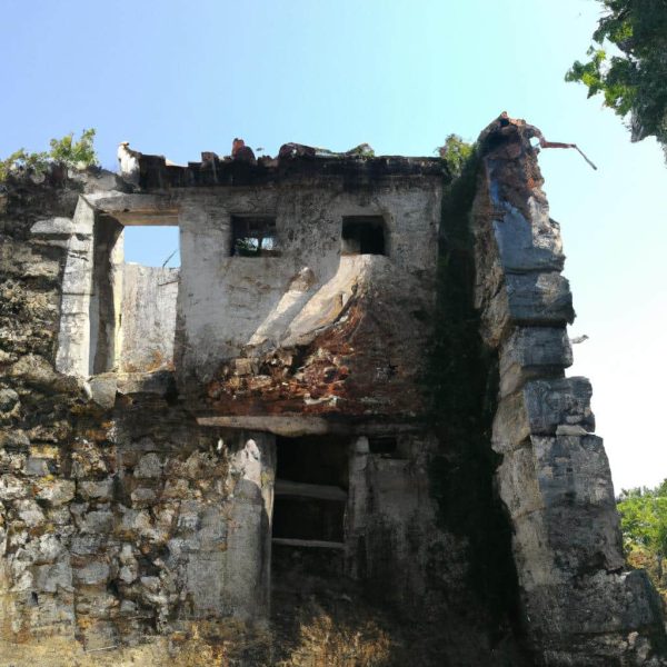 Ruyada Eski Esi Gormek