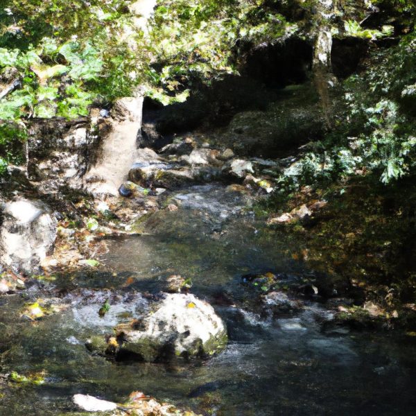 Ruyada Et Gormek Ne Demek