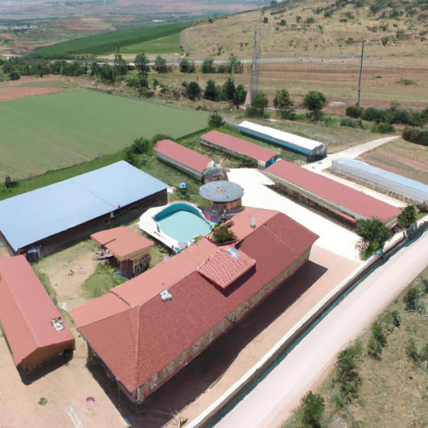 Ruyada Ev Sahibini Gormek