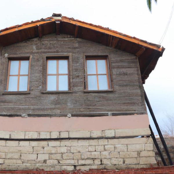 Ruyada Evde Siyah Yilan Gormek