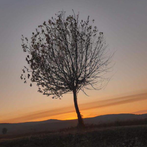 Ruyada Eve Hirsizin Girmesi Birsey Calmasi