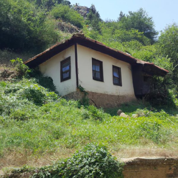 Ruyada Evi Su Bastigini Gormek
