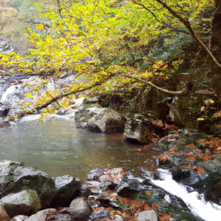 Ruyada Fare Boku Gormek