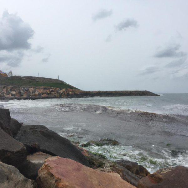 Ruyada Fare Kovalamak