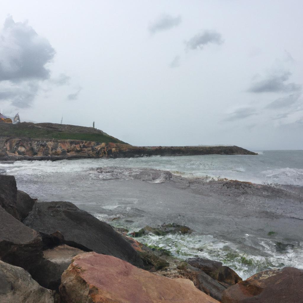 Ruyada Fare Kovalamak