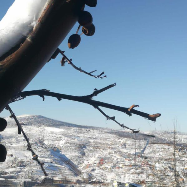 Ruyada Fare Surusu Gormek