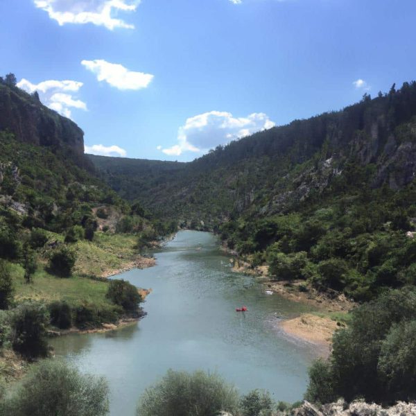 Ruyada Fare Yakalamak