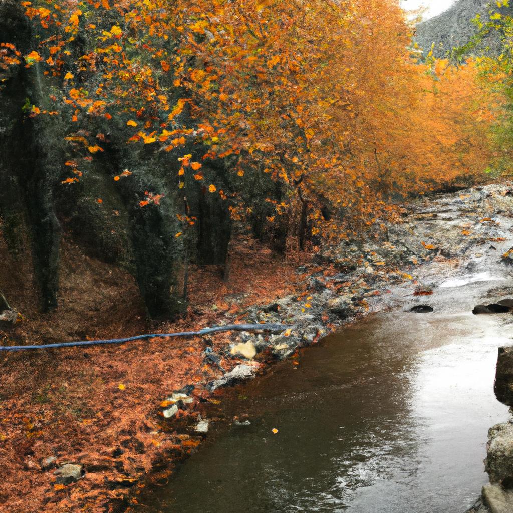 Ruyada Fayans Gormek