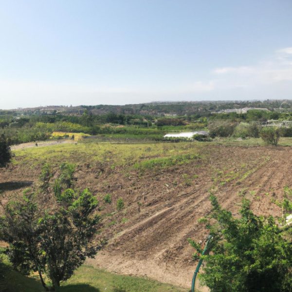 Ruyada Fincan Gormek