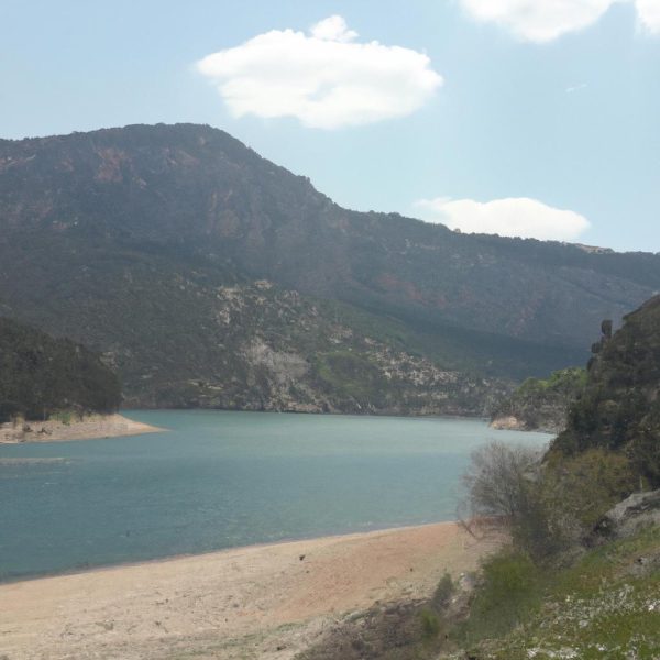 Ruyada Findik Toplamak