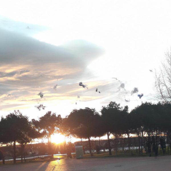 Ruyada Fotograf Cekilmek