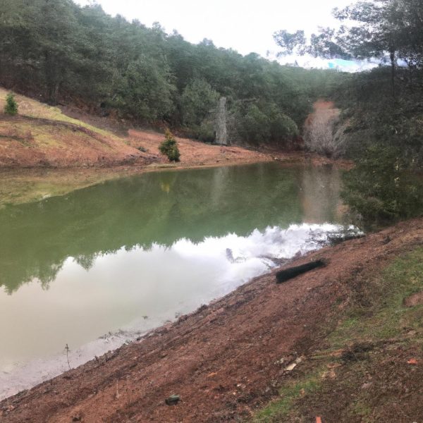 Ruyada Gelecegi Gormek