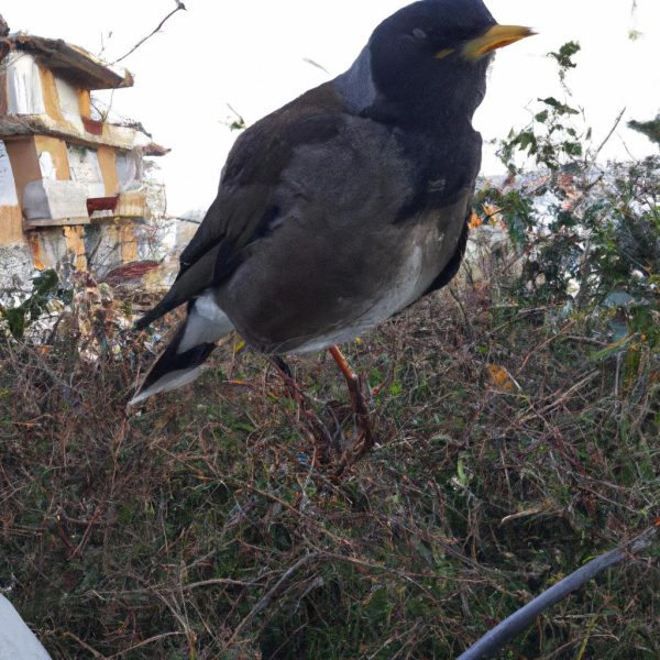 Ruyada Gezegen Gormek