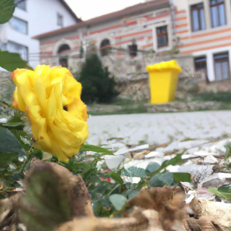Ruyada Gorumceyi Gormek