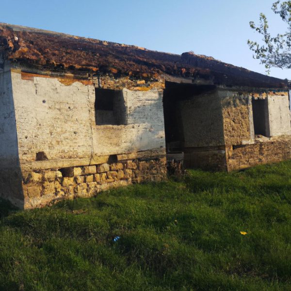 Ruyada Harabe Ev Gormek