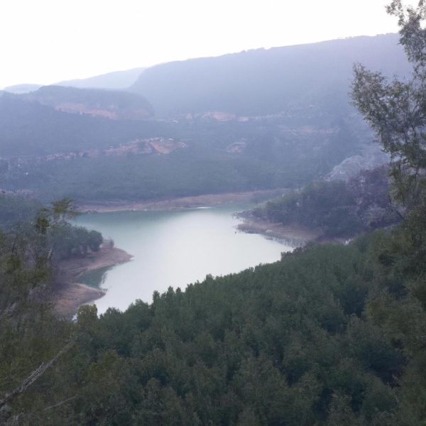 Ruyada Hashas Gormek