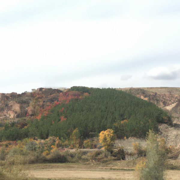 Ruyada Hazine Aramak