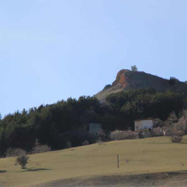 Ruyada Hazine Gormek