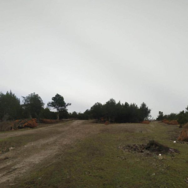 Ruyada Hep Ayni Kisiyi Gormek