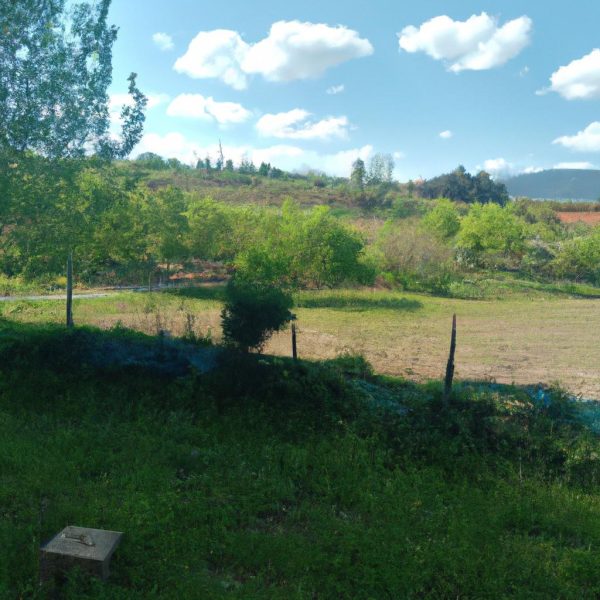 Ruyada Hirsiz Gormek Ne Demek 1